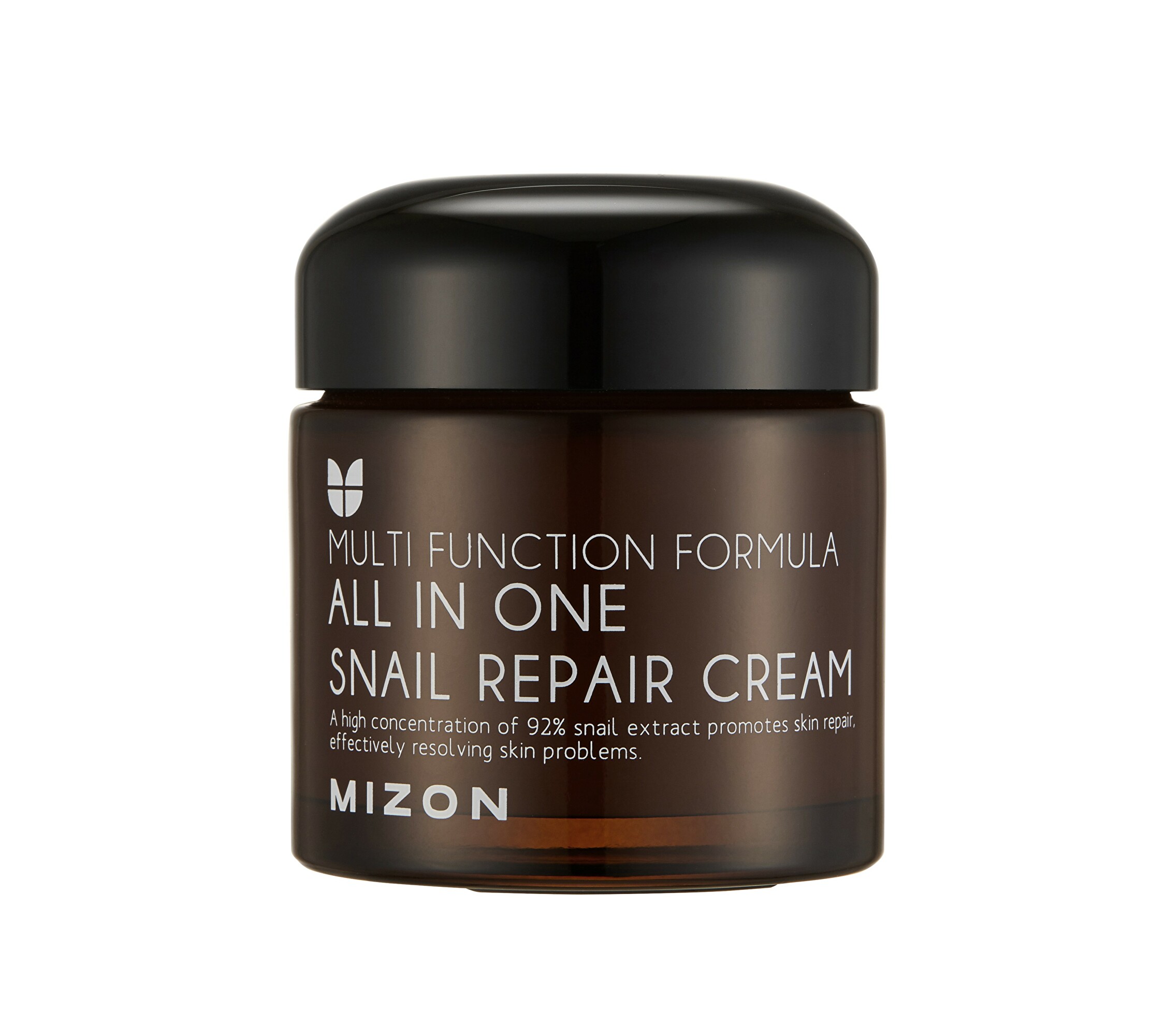 Mizon Regeneračný pleťový krém s filtrátom slimáčieho sekrétu 92% (All In One Snail Repair Cream) 120 ml Mizon Regeneračný pleťový krém s filtrátom slimáčieho sekrétu 92% (All In One Snail Repair Cream) 120 ml
