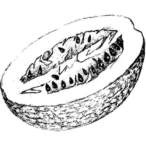 252713