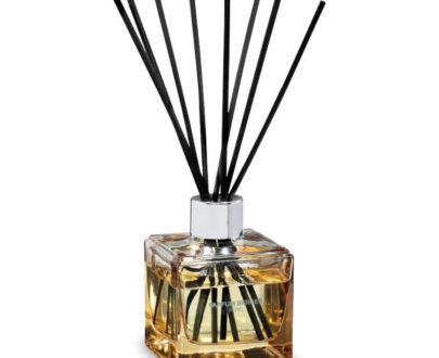 Maison Berger Paris Difuzér Cube proti zvieraciemu zápachu Fruity and Floral (Anti-odour Pets) 125 ml