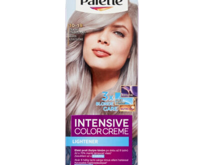 PALETTE ICC Farba na vlasy 10-19 Chladný striebristo plavý